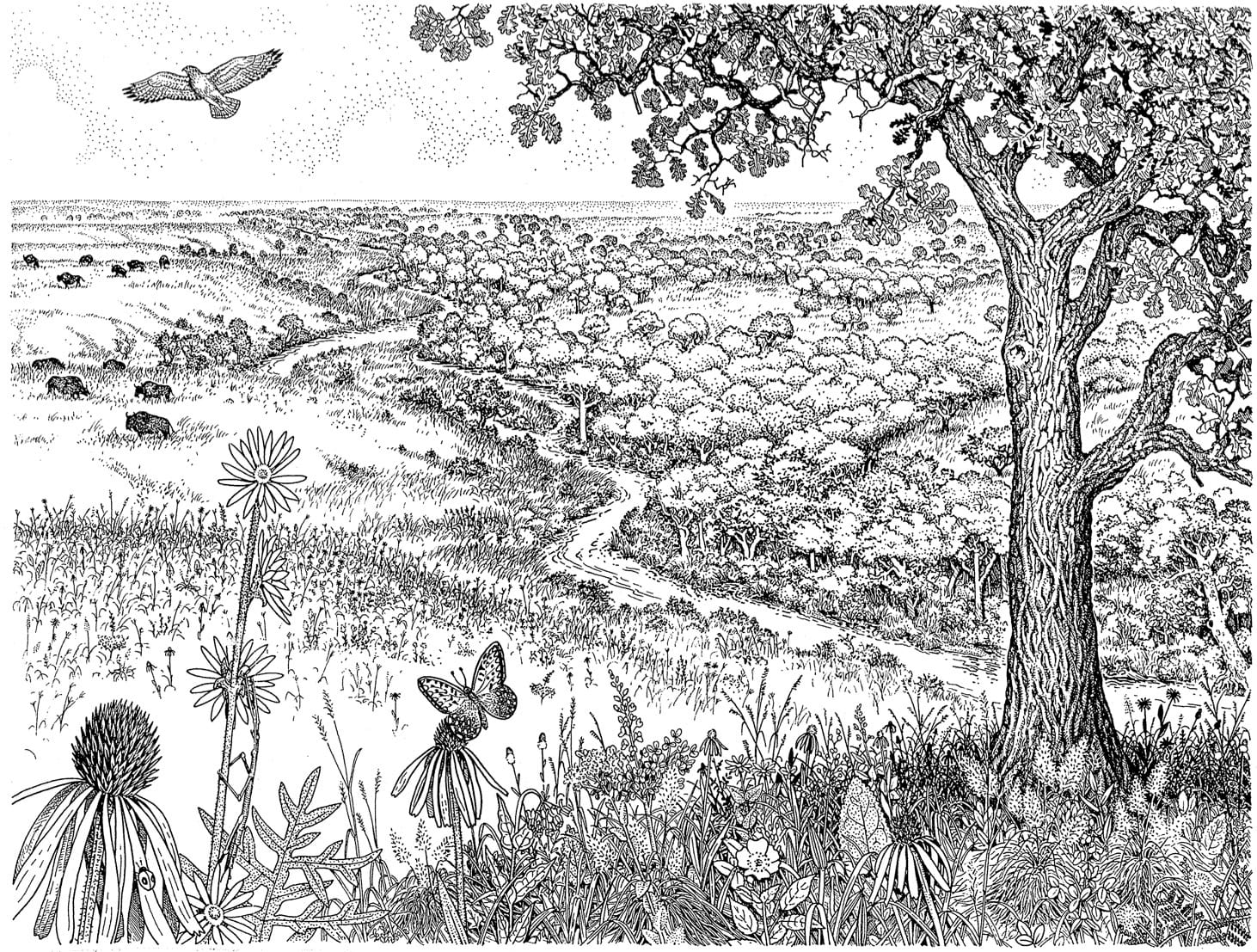 Bioregionalism, healing the land and oneself