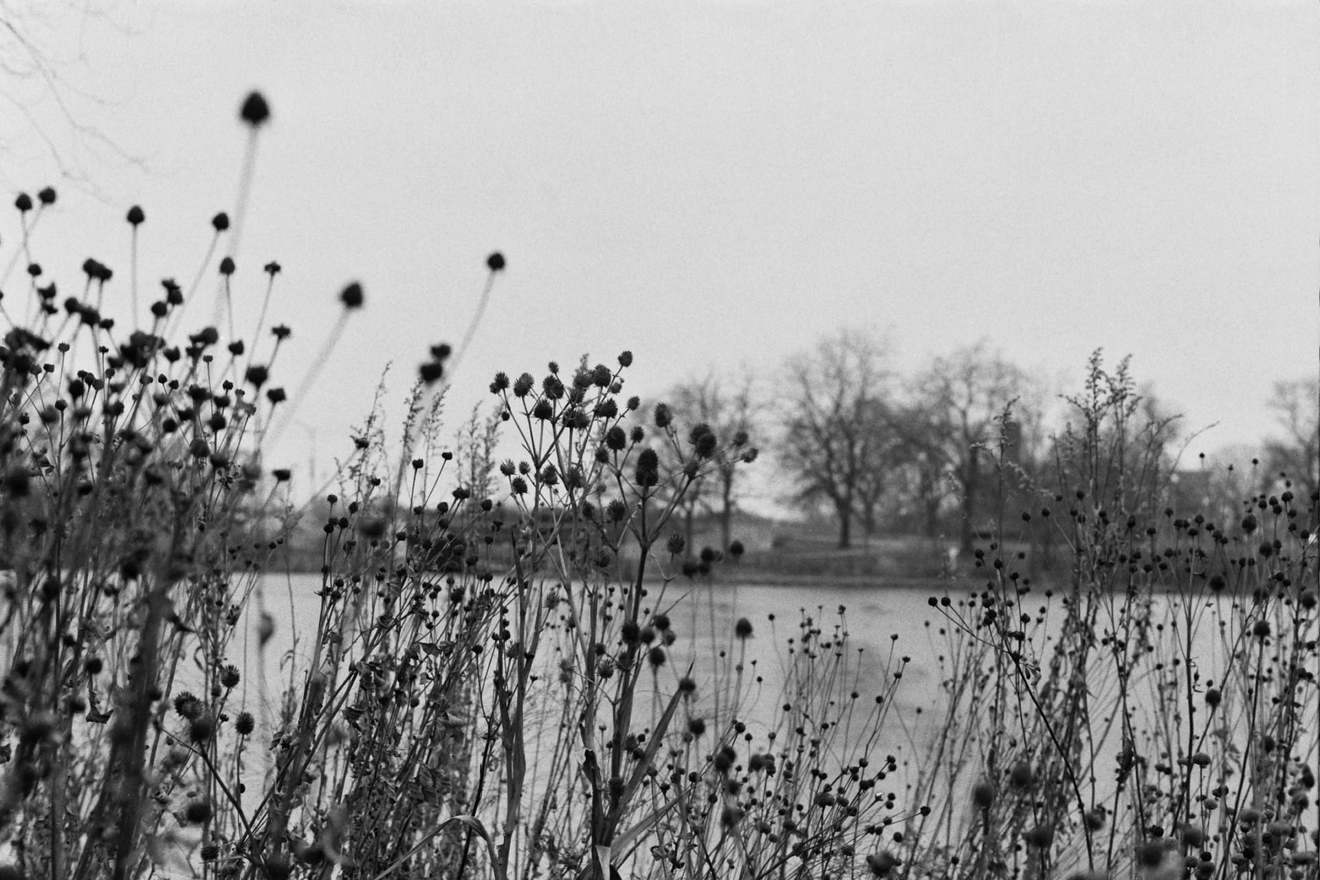 Resisting the Grind: Thoughts on 'Grind Culture' and Cultivating Presence