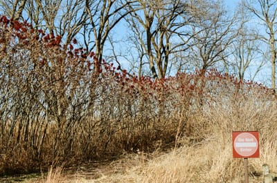 Friction and Resistance at the Beginning